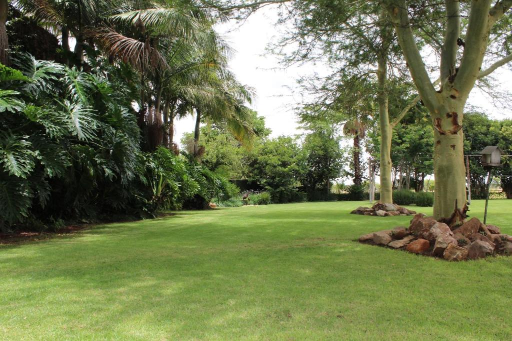 a park with palm trees and rocks around a tree at Makarios Lodge in Polokwane