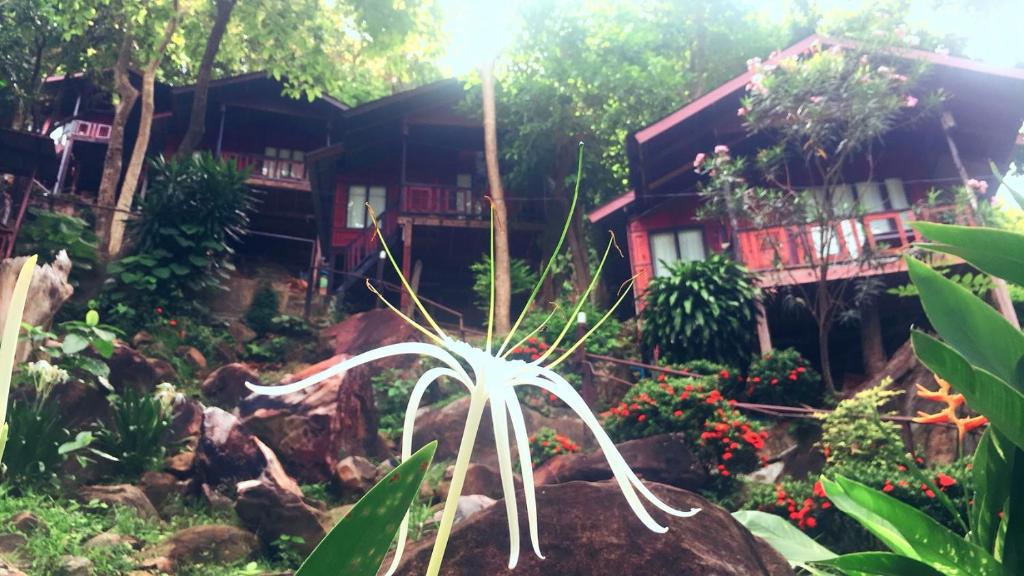 a flower in front of a house at Phi Phi Green Hill Resort in Phi Phi Don
