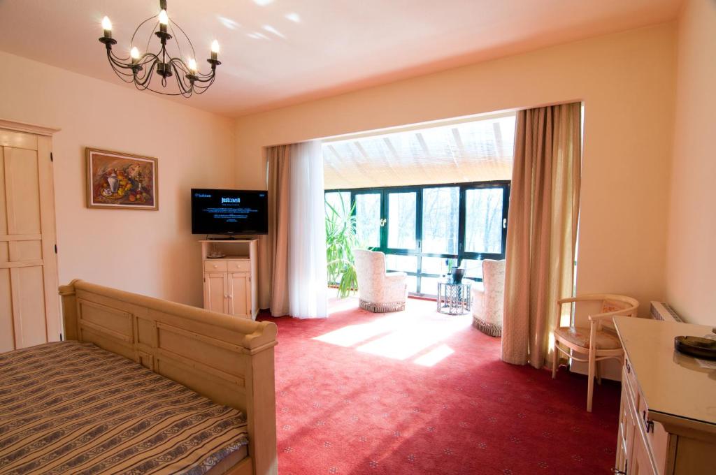 TV a/nebo společenská místnost v ubytování The Elite - Oradea's Legendary Hotel