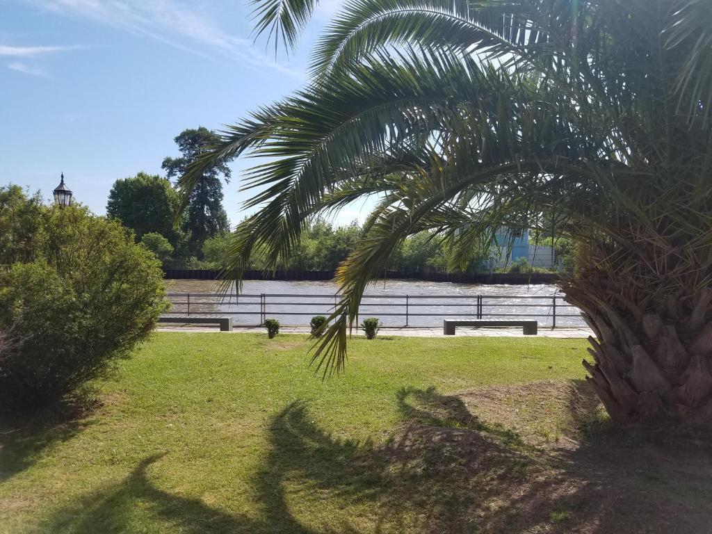 a palm tree in a park next to a body of water at Costa de Tigre, habitaciones in Tigre