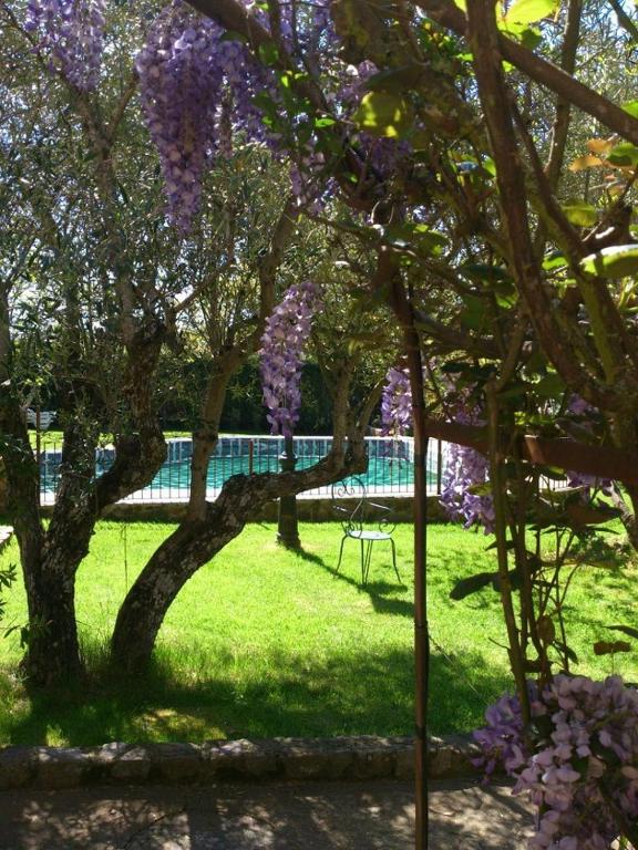 Vonkajšia záhrada v ubytovaní Puerto Roque Turismo Rural
