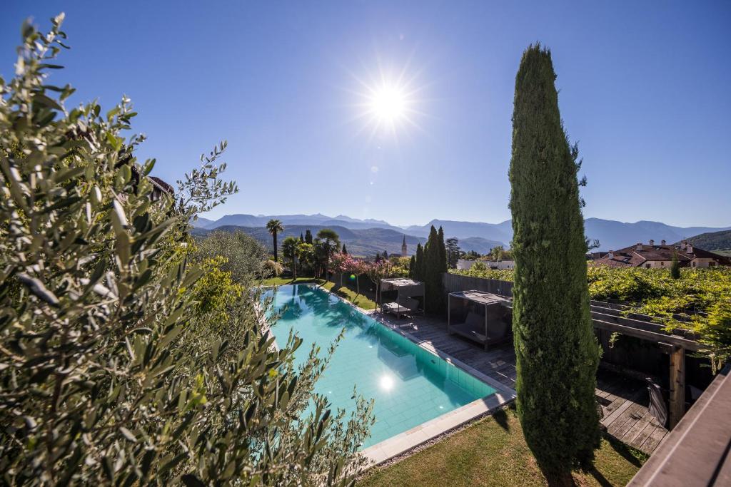 a villa with a swimming pool and a tree at Felderer Boutiquehotel in Caldaro