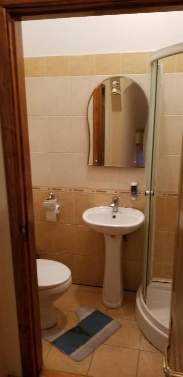 Koupelna v ubytování Hotel Daniel