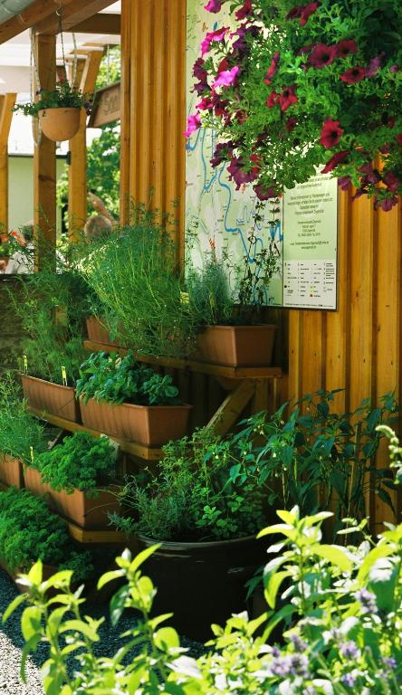 a group of potted plants on a wall with flowers at Hotel Zur Fernmühle in Ziegenrück