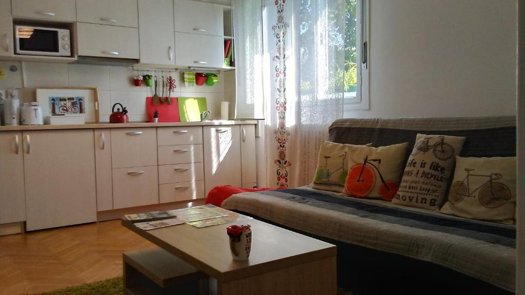 un salon avec un canapé et une table dans l'établissement B Apartments - Bike Apartment, à Timişoara