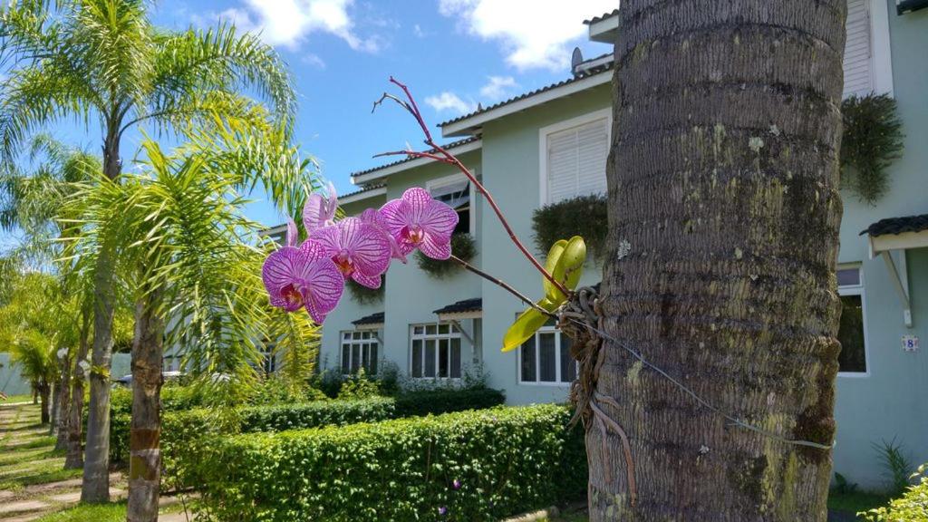 une maison avec des palmiers et des orchidées violettes dans l'établissement Casa Condominio Fechado Total Segurança - Juquehy, à Juqueí