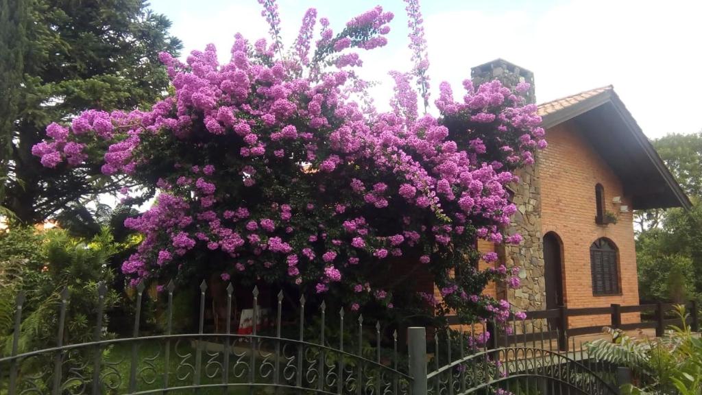 Casa Innsbruck  Casa Innsbruck