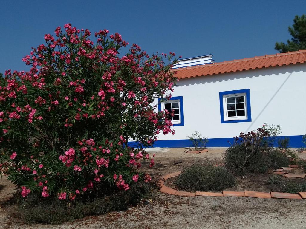 メリデスにあるPinheiro da Chaveのピンクの花の家