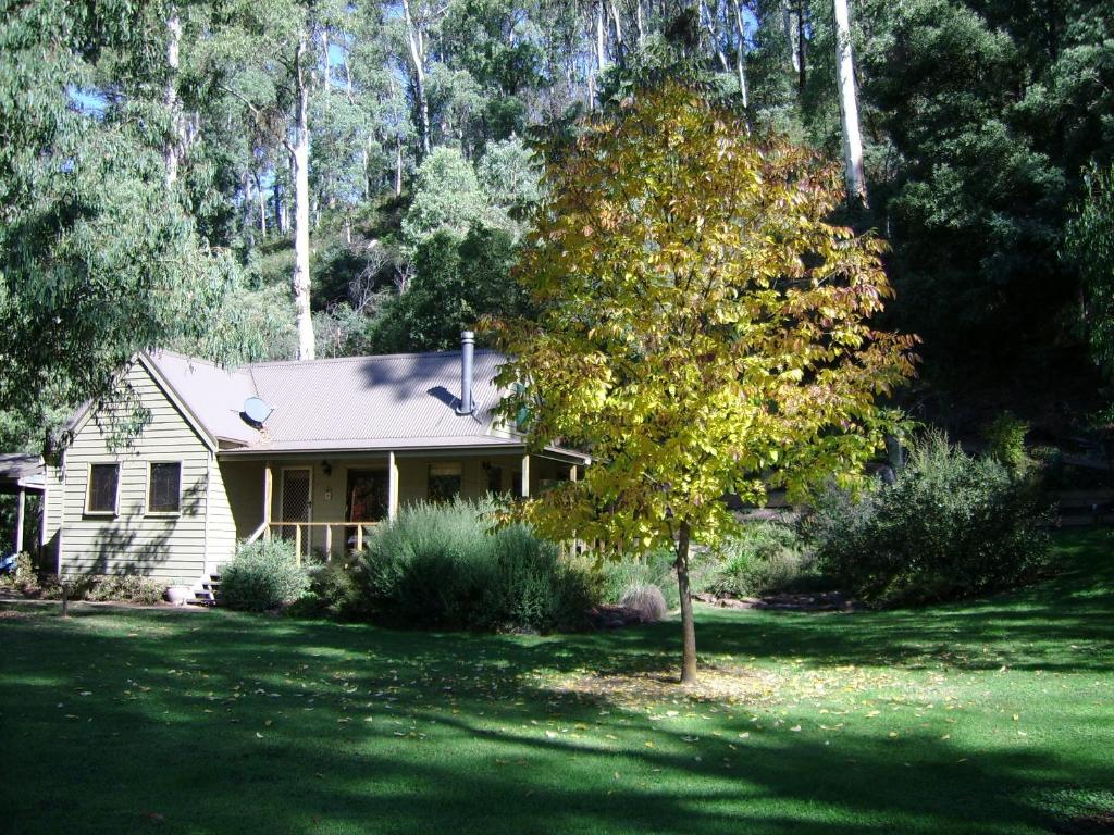a small white house with a tree in the yard at shady brook cottages in Harrietville