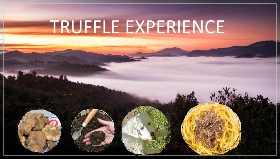 a group of food items sitting on top of a mountain at Cà Maggio Nuovo in Acqualagna