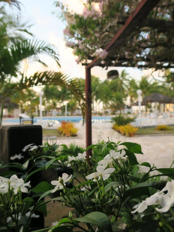  Hotel Marina Porto Abrolhos