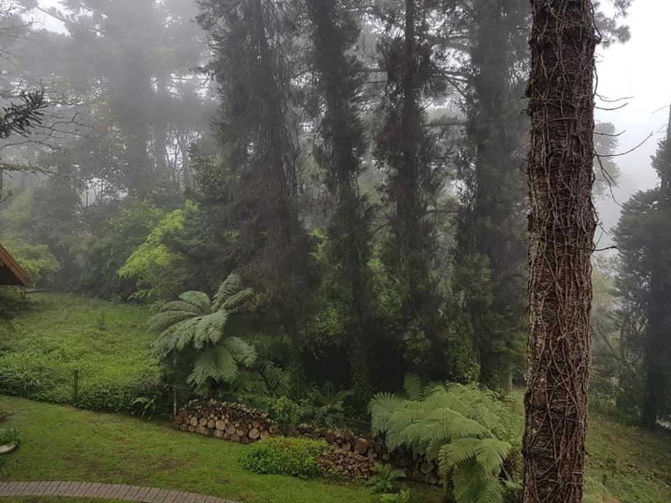 LOCAR-IN GRAMADO Solar das Hortênsias  LOCAR-IN GRAMADO Solar das Hortênsias
