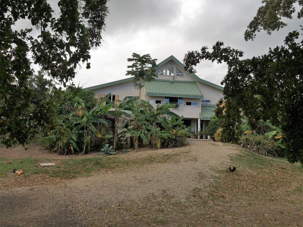Zahrada ubytování 4 Casitas