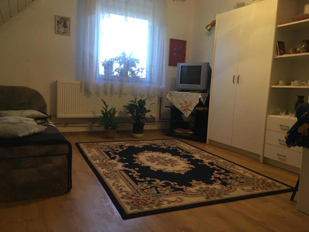 a living room with a rug on the floor at Lady Margit's Room in Szombathely