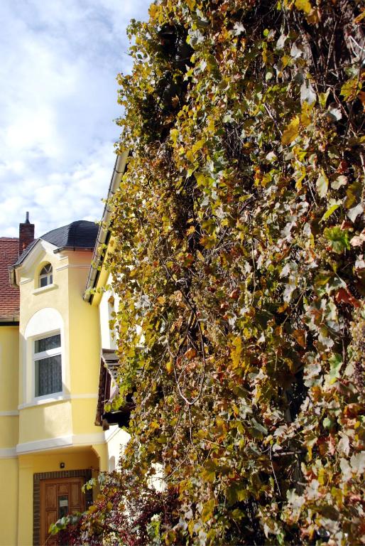 a tree covered in leaves next to a yellow house at Landhotel Lützen-Stadt in Lützen