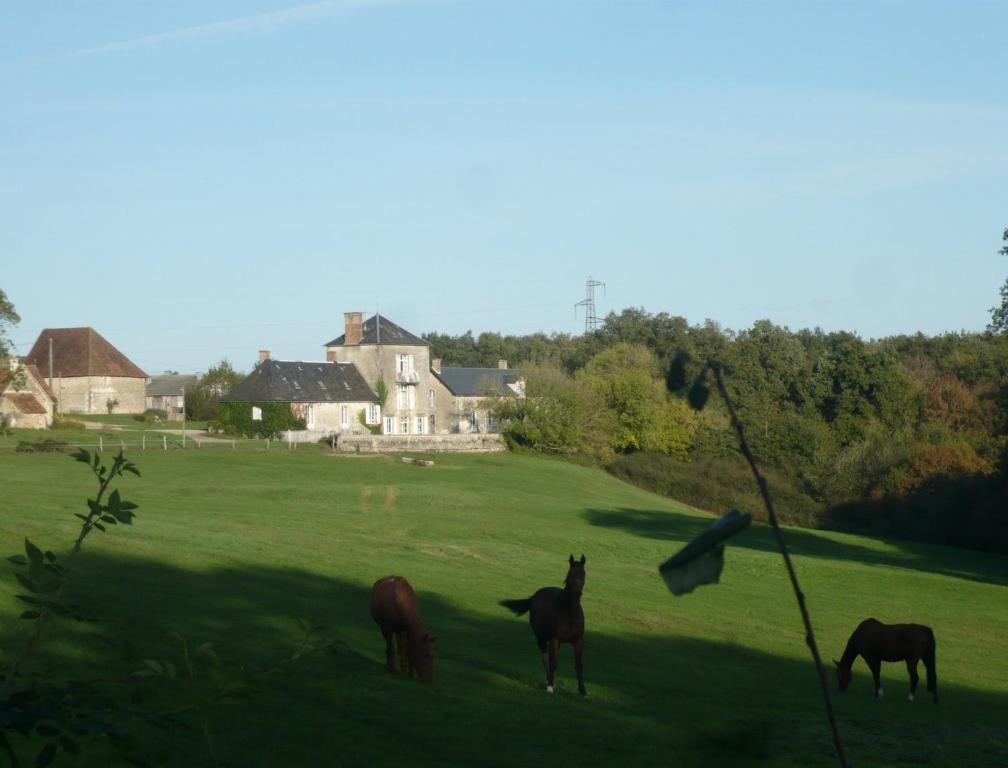 un gruppo di cavalli al pascolo in un campo di Domaine de Montgenoux a Prissac