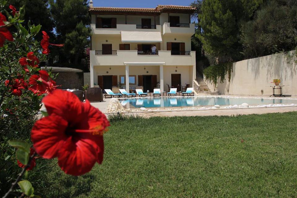 a red flower in front of a house with a swimming pool at VILLA STARCHART in Porto Heli