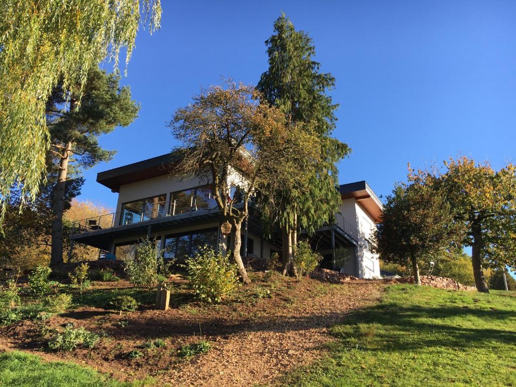 a house on a hill with trees at Ferienhaus HAAGALM in Primstal