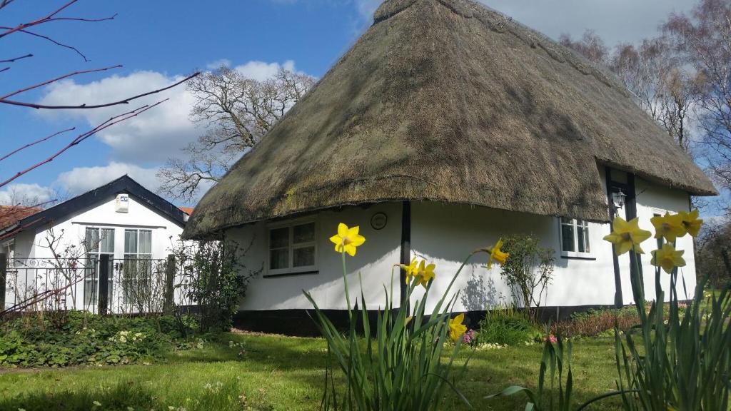 a thatched cottage with daffodils in front of it at Frogs Hall B&B in Eye
