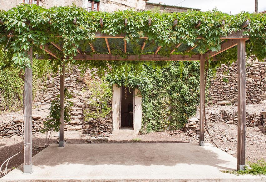 una estructura de madera con vides creciendo en ella en CAN BALDIRET, en La Vall de Santa Creu