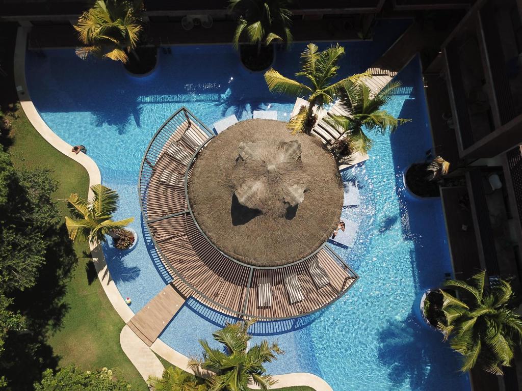 an overhead view of a large swimming pool with an animal on it at Casa Ya'ab in Tulum