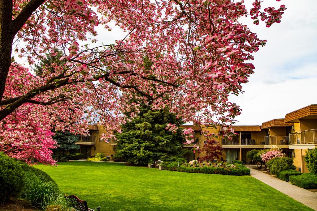 Zahrada ubytování Mirabeau Park Hotel