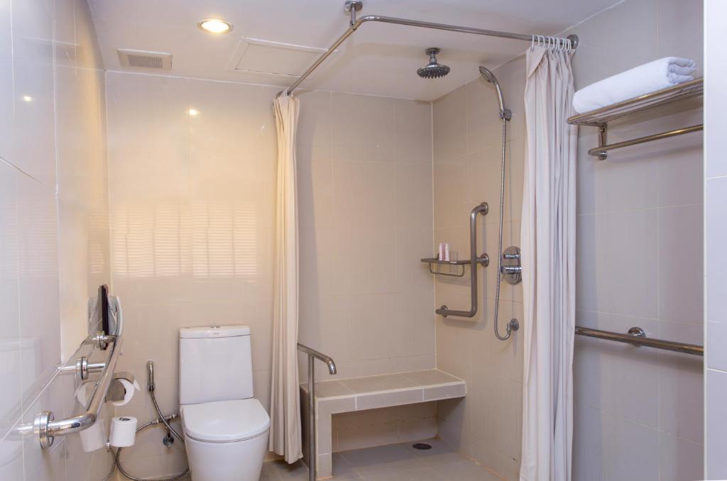 An accessible-looking bathroom with a toilet, handheld shower and roll-in-style shower area.