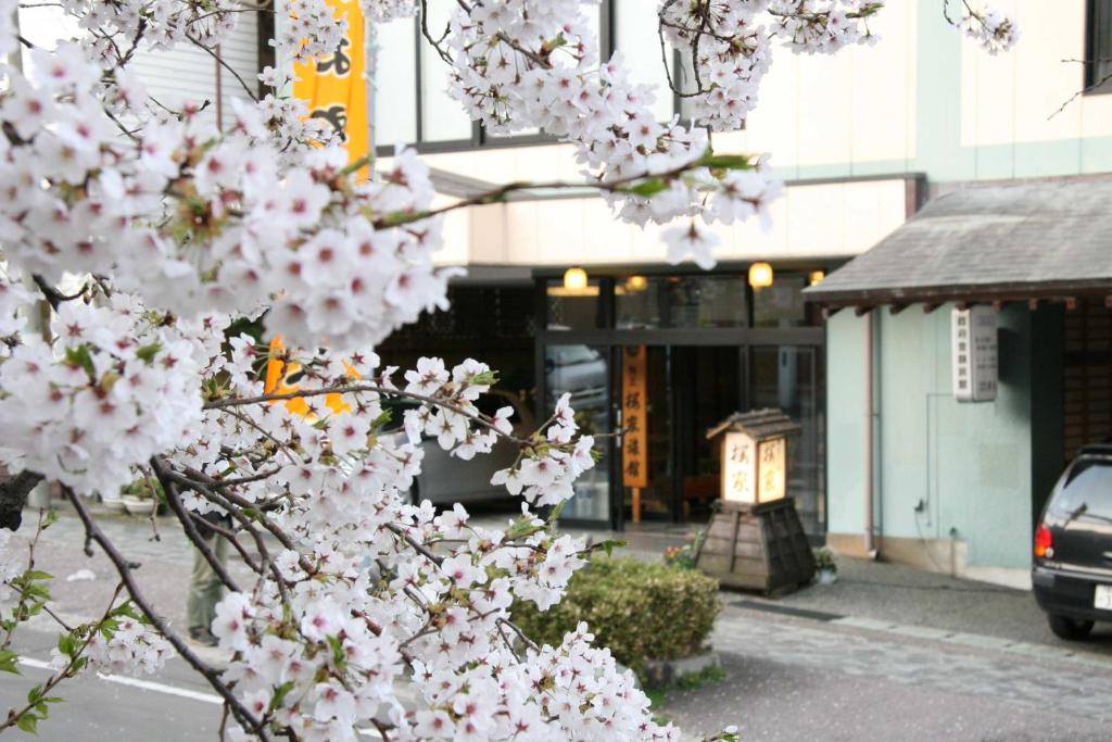 Sakuraya - Image 1