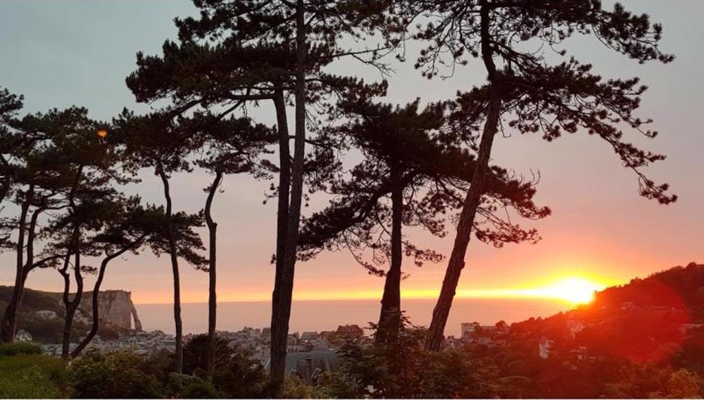 a sunset behind a group of trees in front of the ocean at Domaine Saint Clair - Le Donjon in Étretat