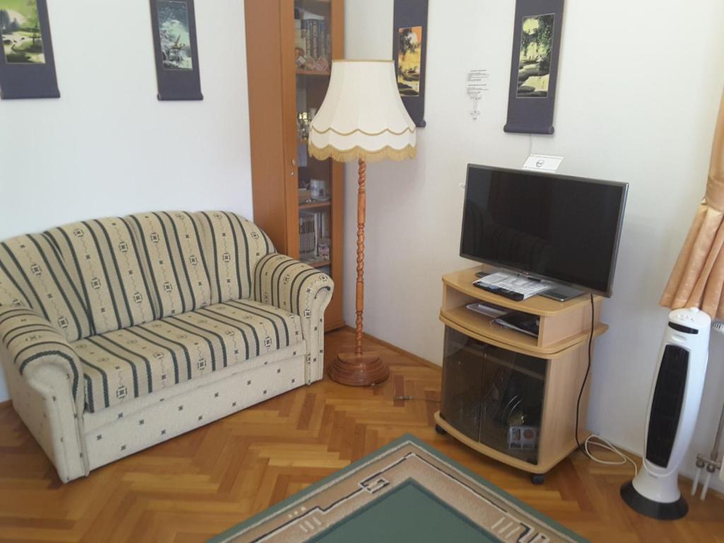 a living room with a couch and a television at Dessewffy Guesthouse in Zamárdi