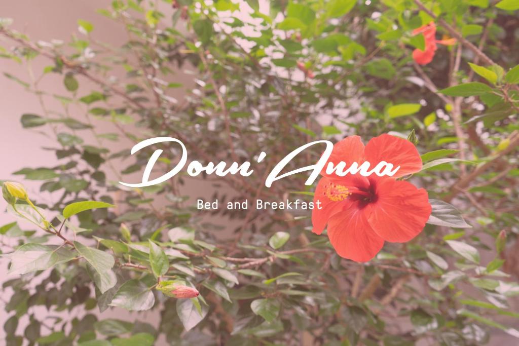 una flor roja con las palabras emo de tambor en ella en Donn'Anna B&B, en Squinzano