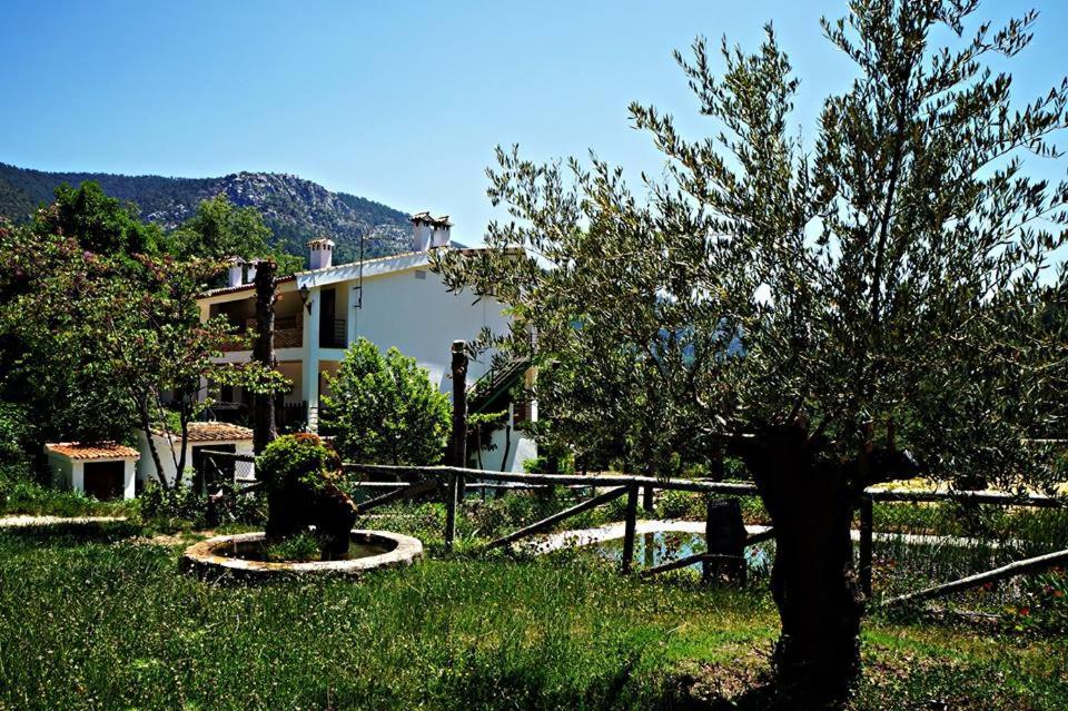 Príroda v okolí apartmánu
