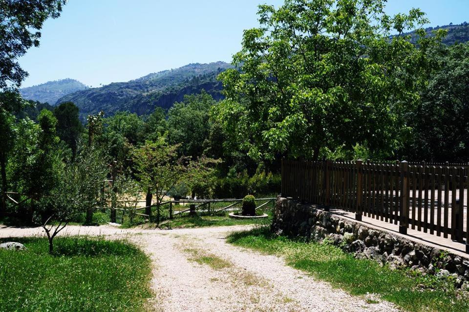 Príroda v okolí apartmánu
