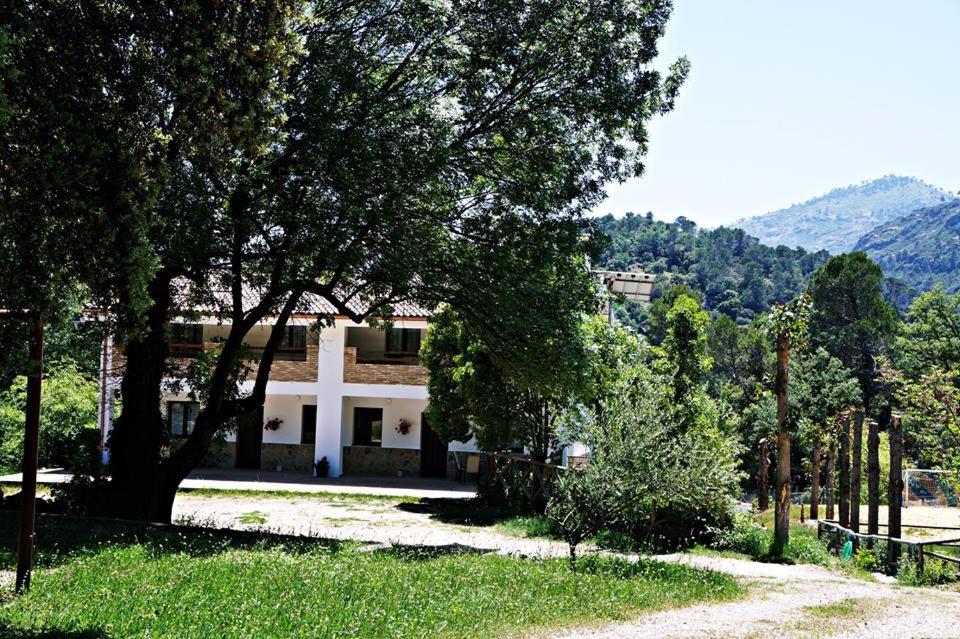 Príroda v okolí apartmánu