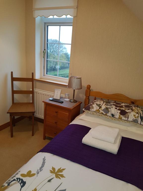 Kilcreeny Lodge - Habitación Individual Pequeña
