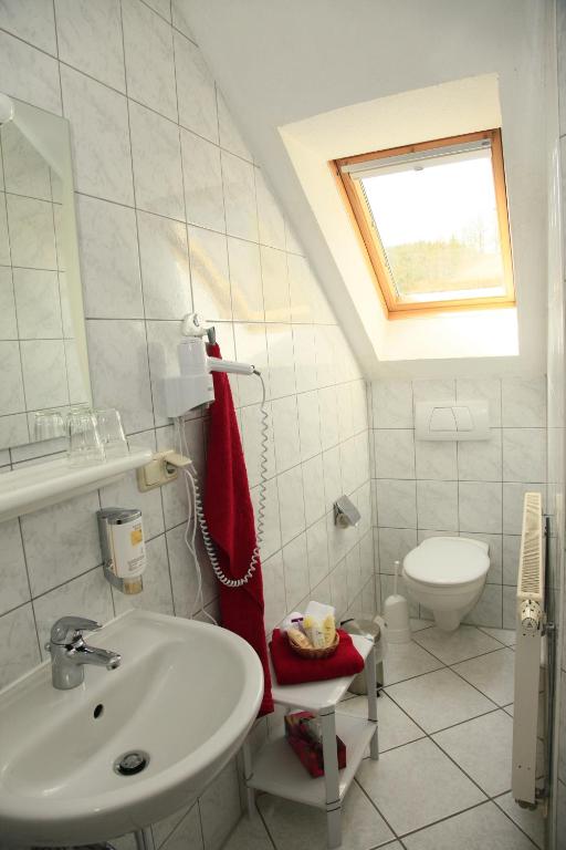 a bathroom with a sink and a toilet at Hotel Zur Fernmühle in Ziegenrück