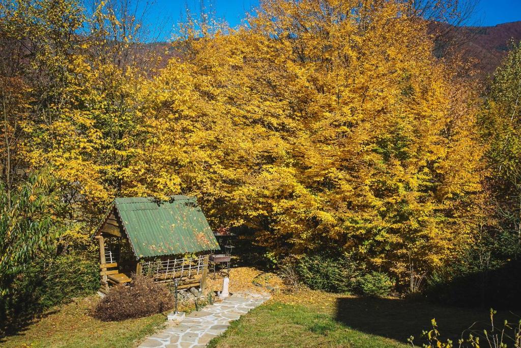 Fotografie z fotogalerie ubytování Sadyba Ertash v destinaci Vyška