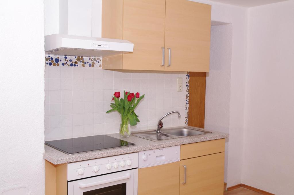Kuchyň nebo kuchyňský kout v ubytování Haus Enzian