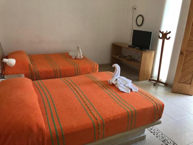 Villas Naomi - 经济双床间