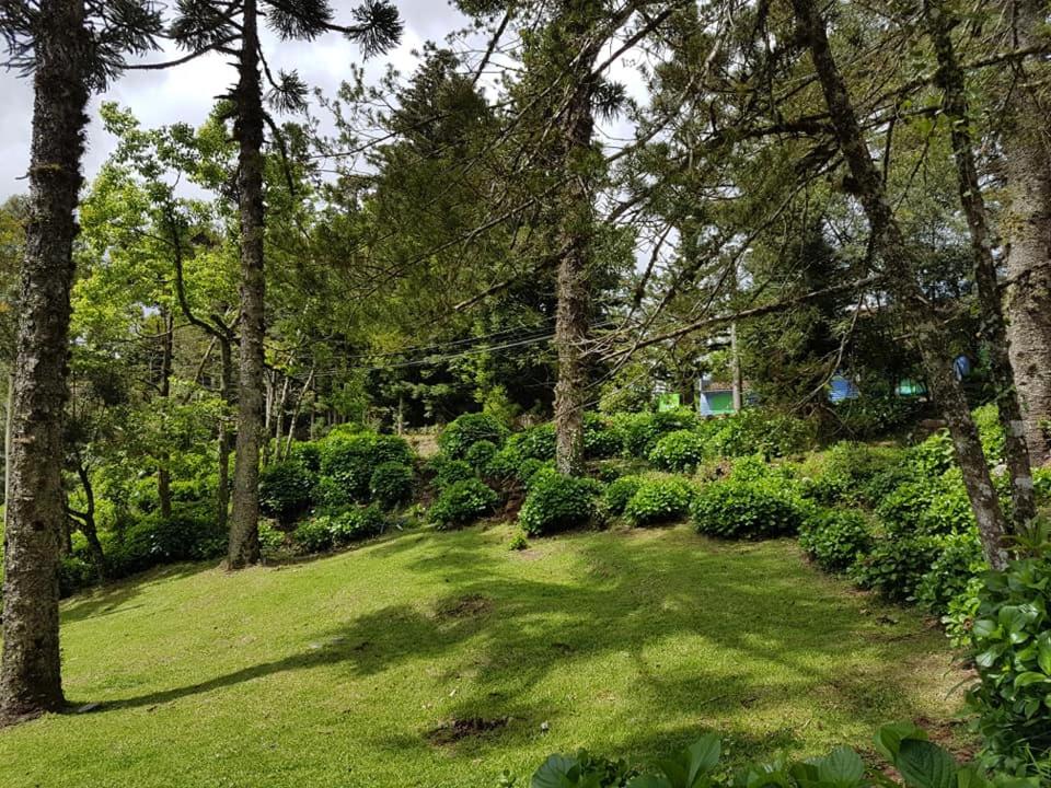 LOCAR-IN GRAMADO Solar das Hortênsias  LOCAR-IN GRAMADO Solar das Hortênsias