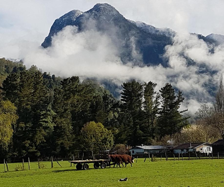 Paisaje cerca de esta casa o chalet