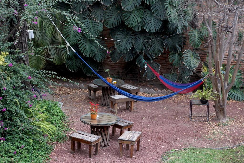 Zahrada ubytování Hostel Hospedarte Chapultepec