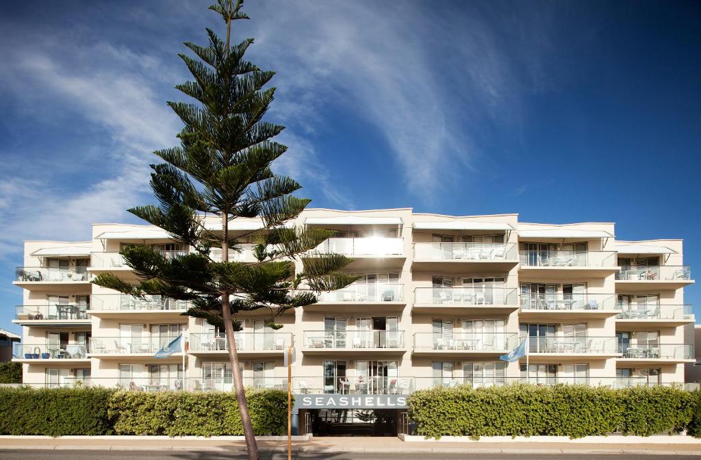 a palm tree in front of a building at Seashells Scarborough in Perth