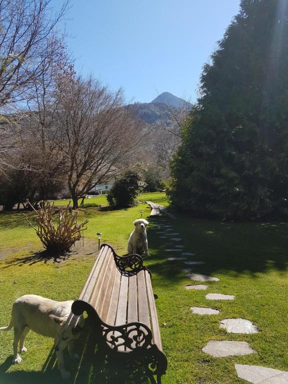 Paisaje cerca de esta casa o chalet