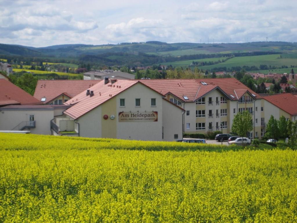 Příroda nedaleko hotelu
