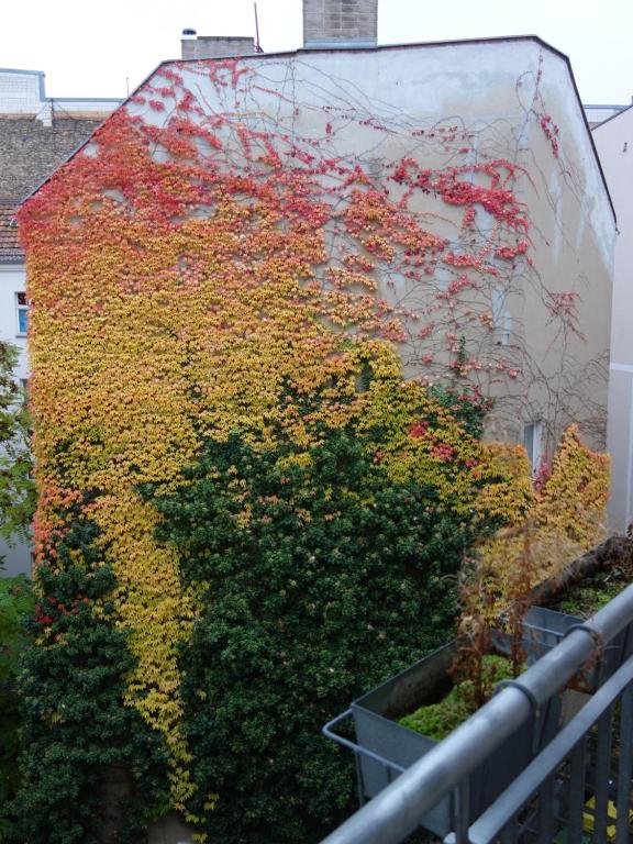 Private Rooms in Prenzlauerberg - 17