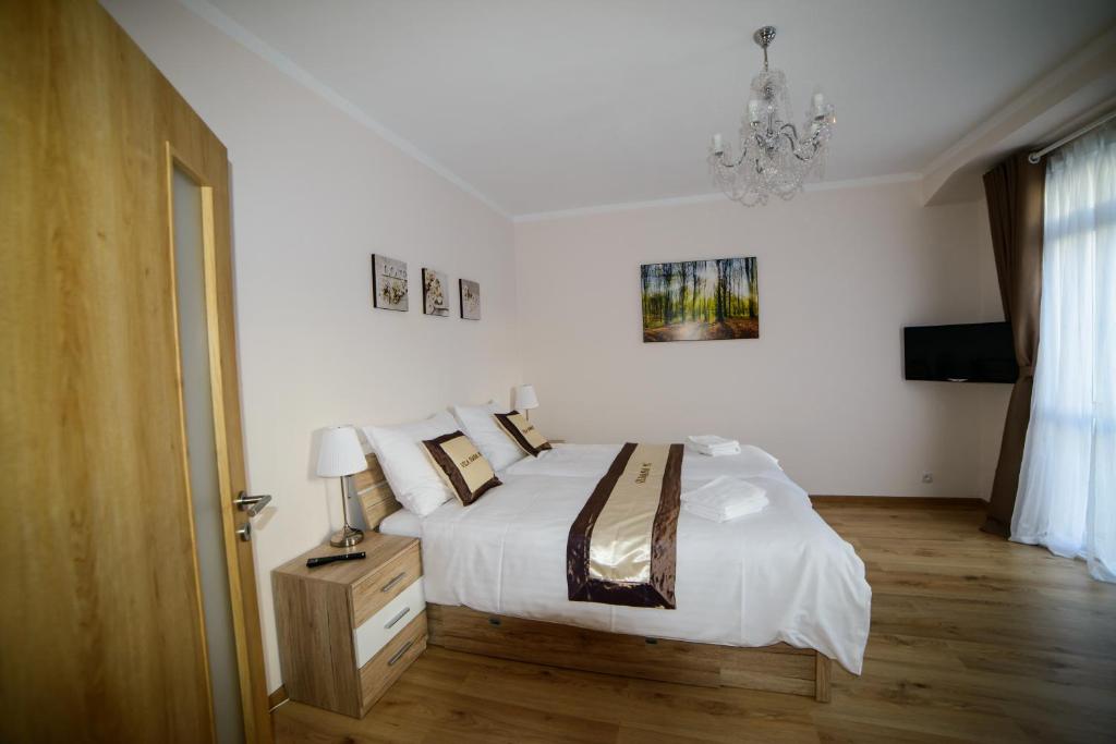 Diana Apartments Karlovy Vary - One-Bedroom Apartment