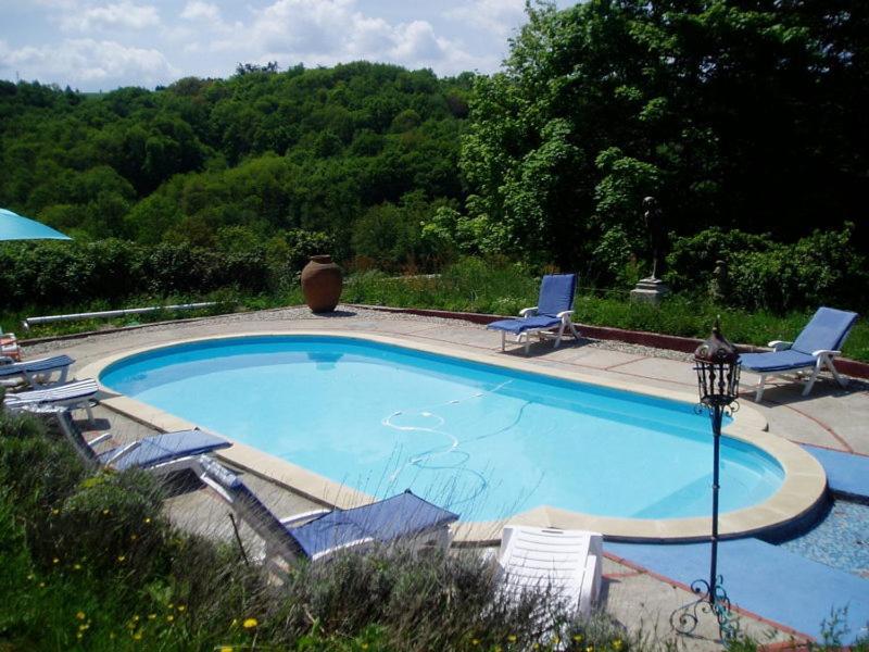 a large blue swimming pool with chairs and a table at Château de Monteux in La Fouillouse