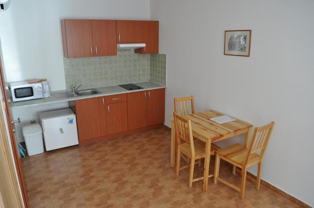 Kuchyň nebo kuchyňský kout v ubytování Penzion U Zamku