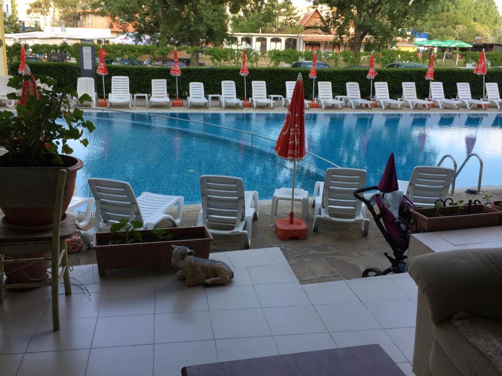 The swimming pool at or close to Blue Summer